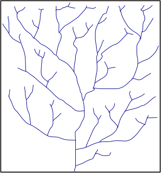 C:\..\..\thlb\cr\tz\__i__images__i__\Dendritic.png