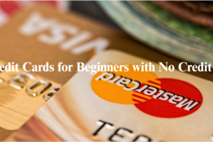 Best Credit Cards for Beginners with No Credit