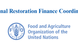 National Restoration Finance Coordinator
